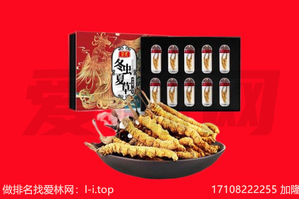 肇庆市鼎湖回收虫草.jpg